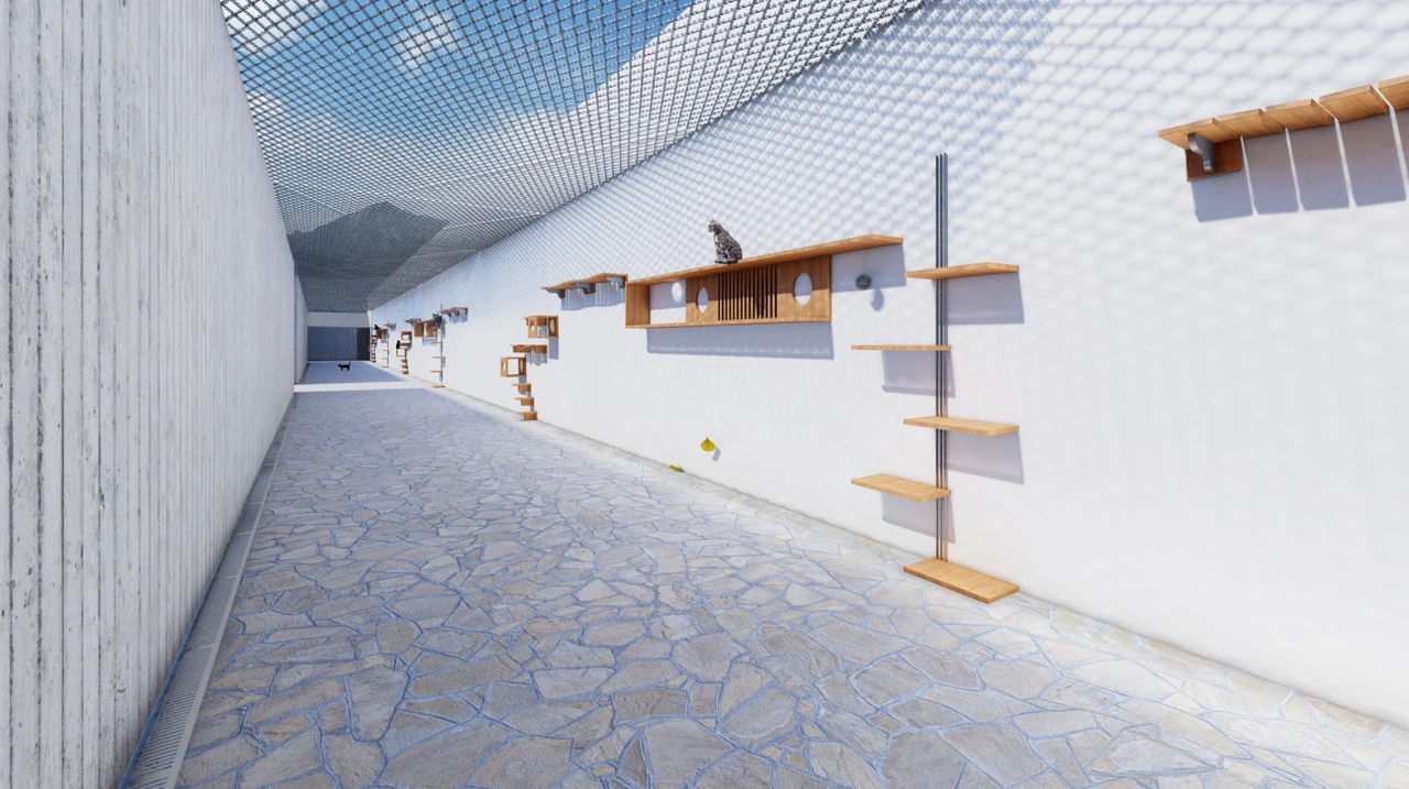 Perspectiva externa 3